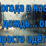 Quotes about rain
